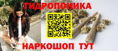 мяу мяу мука Будённовск