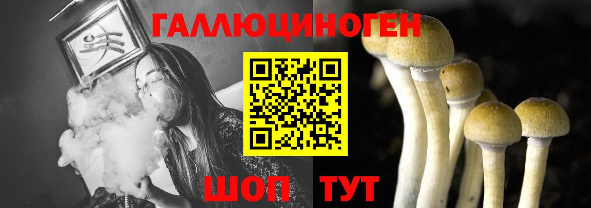 Куйбышев  Галлюциногенные грибы GOLDEN TEACHER  Вход с VPN 